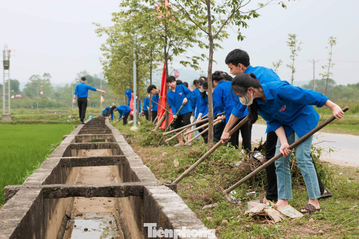 Ngày cao điểm "Tình nguyện chung tay xây dựng nông thôn mới” là 1 trong những hoạt động cao điểm trong Tháng Thanh niên, nhằm đẩy mạnh hơn nữa sự tham gia của tuổi trẻ Nghệ An trong đồng hành cùng cấp ủy, chính quyền và người dân xây dựng nông thôn mới. Các hoạt động tập trung vào xây dựng hạ tầng, cảnh quan và bảo vệ môi trường nông thôn cũng như hỗ trợ thanh niên phát triển kinh tế gắn với tái cơ cấu nông nghiệp. Dịch chuyển cơ cấu kinh tế, nâng cao thu nhập cho thanh niên nông thôn. Triển khai chương trình trí thức trẻ tình nguyện tham gia xây dựng nông thôn mới, các đội hình tình nguyện chuyên thực hiện chuyển giao khoa học, kỹ thuật nông nghiệp mới. - Ảnh: Thu Hiền