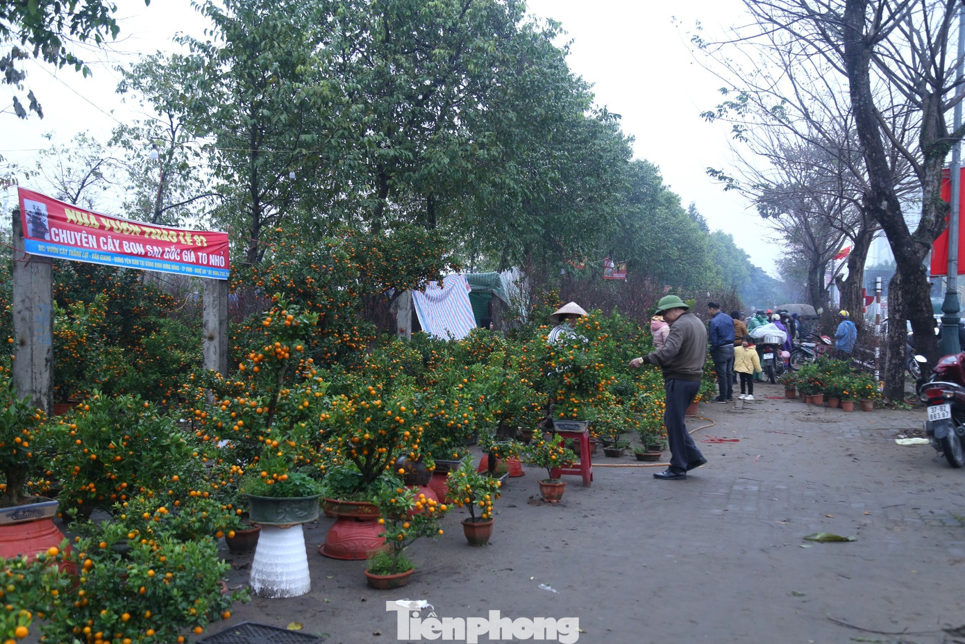 Những ngày này, tại các chợ hoa ở TP Vinh, Nghệ An không khó để bắt gặp những người tài xế, xe ôm đang chở những chậu đào, quất, mai giao cho khách. Do việc vận chuyển những cây hoa đã mua có phần khó khăn, nên dịch vụ chở thuê đào quất khá hút khách.