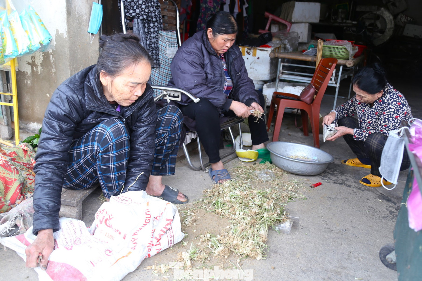 Hành sau khi được thu hoạch sẽ được cắt bỏ phần rễ sạch sẽ trước khi nhập cho thương lái. Hành sau khi được thu hoạch sẽ được cắt bỏ phần rễ sạch sẽ trước khi nhập cho thương lái.