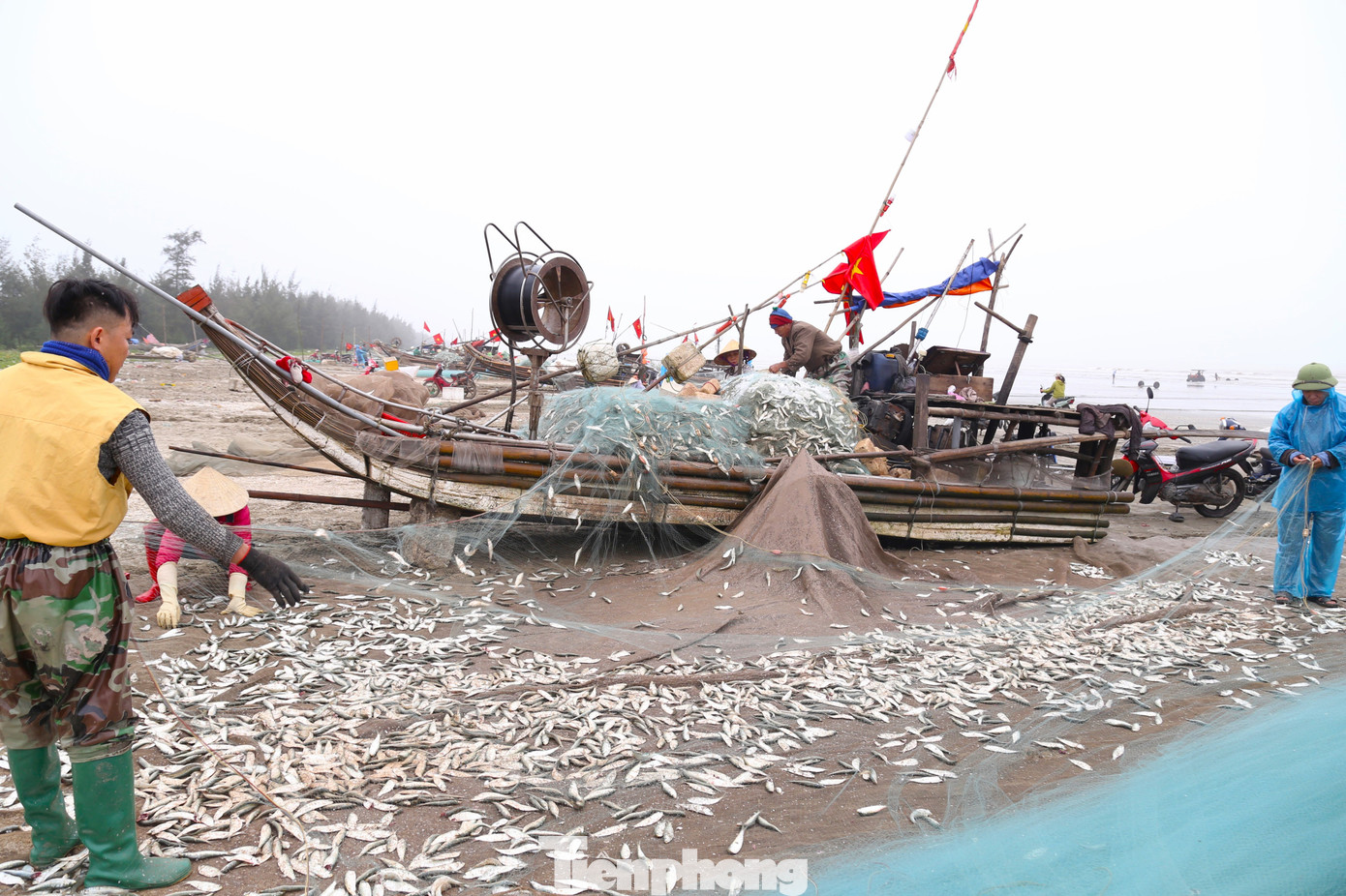Dọc bờ biển, bà con ngư dân căng lưới rũ những con cá trích tươi rói xuống bãi cát. Dọc bờ biển, bà con ngư dân căng lưới rũ những con cá trích tươi rói xuống bãi cát.