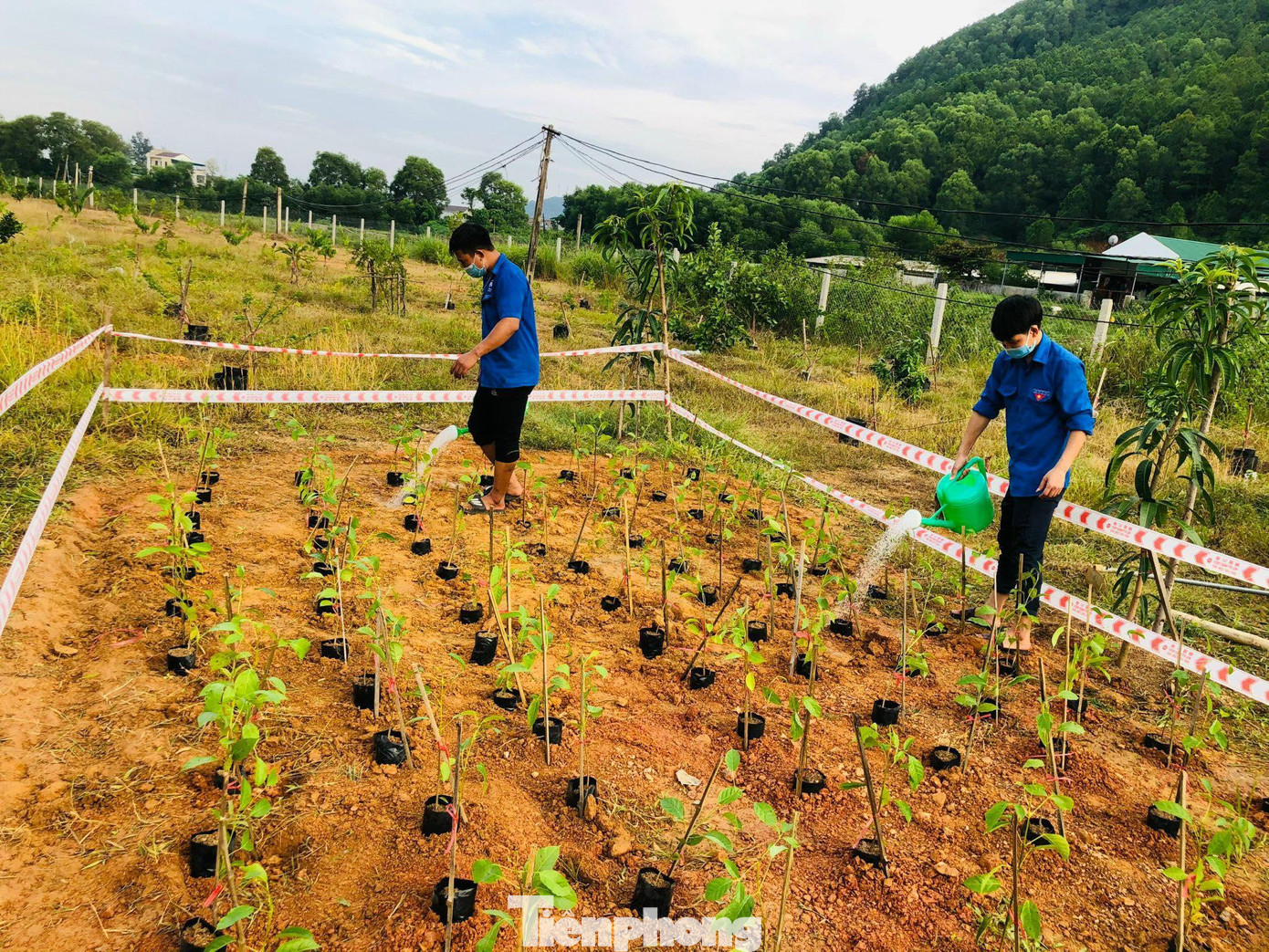 Mô hình không tốn nhiều kinh phí thực hiện nhưng khẳng định được sự đóng góp của sức trẻ góp phần xây dựng quê hương phát triển.
