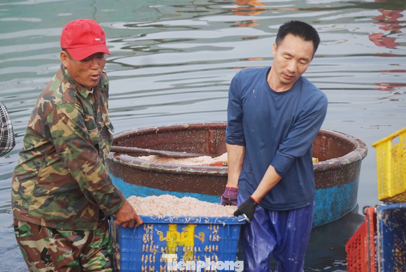 Ngư dân Phạm Văn Hưng (trú phường Nghi Thủy, thị xã Cửa Lò) cho biết, thuyền anh đánh lộng sau một đêm thu về khoảng 2,5 tấn ruốc biển. Với giá bán như hiện tại anh cùng 5 bạn thuyền thu về khoảng 25 triệu đồng.