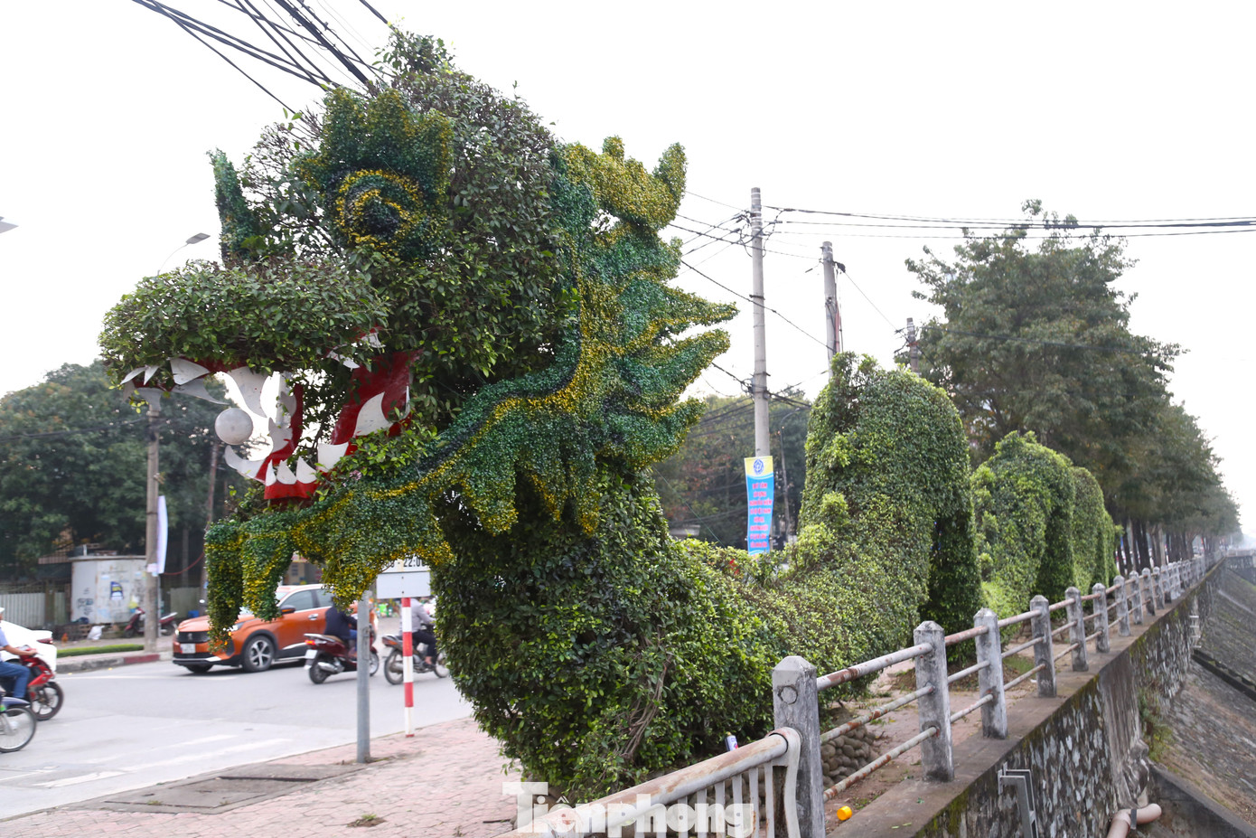 Nhiều người nhận xét, rồng nhìn có thần thái hơn.