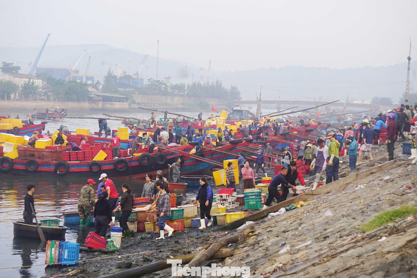 Những ngày này, tại khu vực cảnh cá phường Nghi Thủy, thị xã Cửa Lò, Nghệ An, từng chiếc thúng, chiếc thuyền náo nhiệt, đông vui sau một đêm đánh bắt ruốc biển trở về. Trên bến, dưới thuyền khung cảnh tấp nập, những khay ruốc tươi rói được vận chuyển bằng thuyền thúng lên bờ.