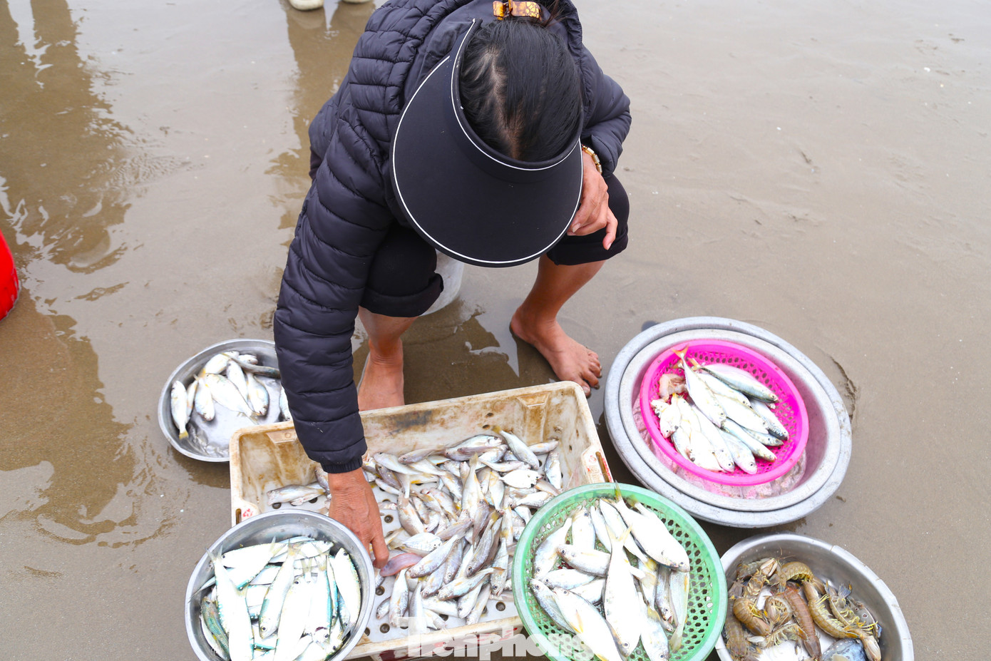 Cá, tôm được phân loại thành một “mớ” để bán.