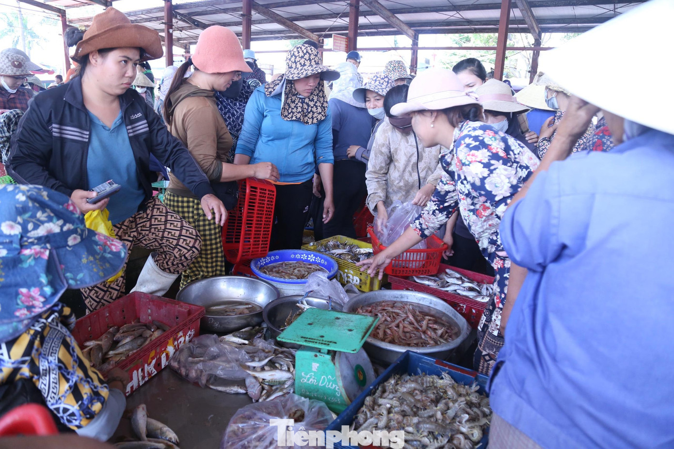 Cảng cá không chỉ thu hút người dân địa phương mà cả những vùng lân cận đến tham quan, mua bán.
