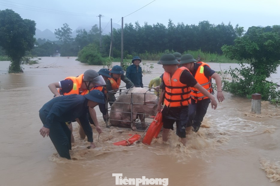 Hiện, chính quyền và nhân dân địa phương đang phát huy phương châm "4 tại chỗ", huy động các lực lượng chuyển đồ đạc, gia súc của người dân đến nơi an toàn. Hiện, chính quyền và nhân dân địa phương đang phát huy phương châm "4 tại chỗ", huy động các lực lượng chuyển đồ đạc, gia súc của người dân đến nơi an toàn.