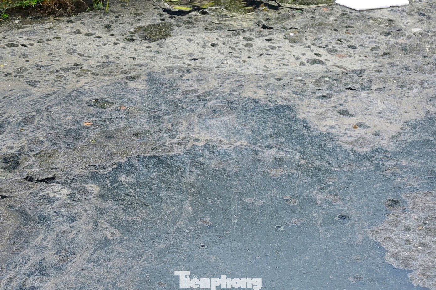 Nước trong hào đen ngòm, đặc quánh bùn thải, bốc mùi xú uế.