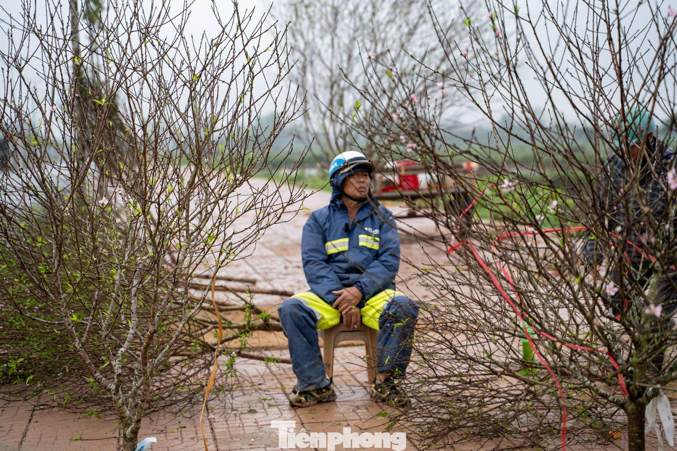 “Năm nay do dịch bệnh nên sức tiêu thụ kém. Mấy ngày trước còn bán được giá, nhưng càng gần Tết, giá càng giảm sâu, nhưng vẫn rất ít khách. Nếu hôm nay không bán hết thì sẽ lỗ vốn”, anh Công chia sẻ.