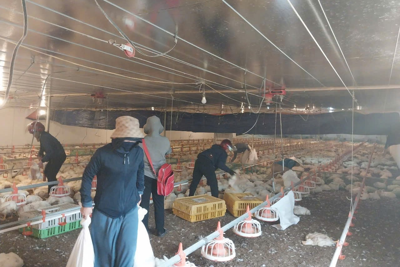 Người dân đến hỗ trợ chủ trang trại khắc phục hậu quả