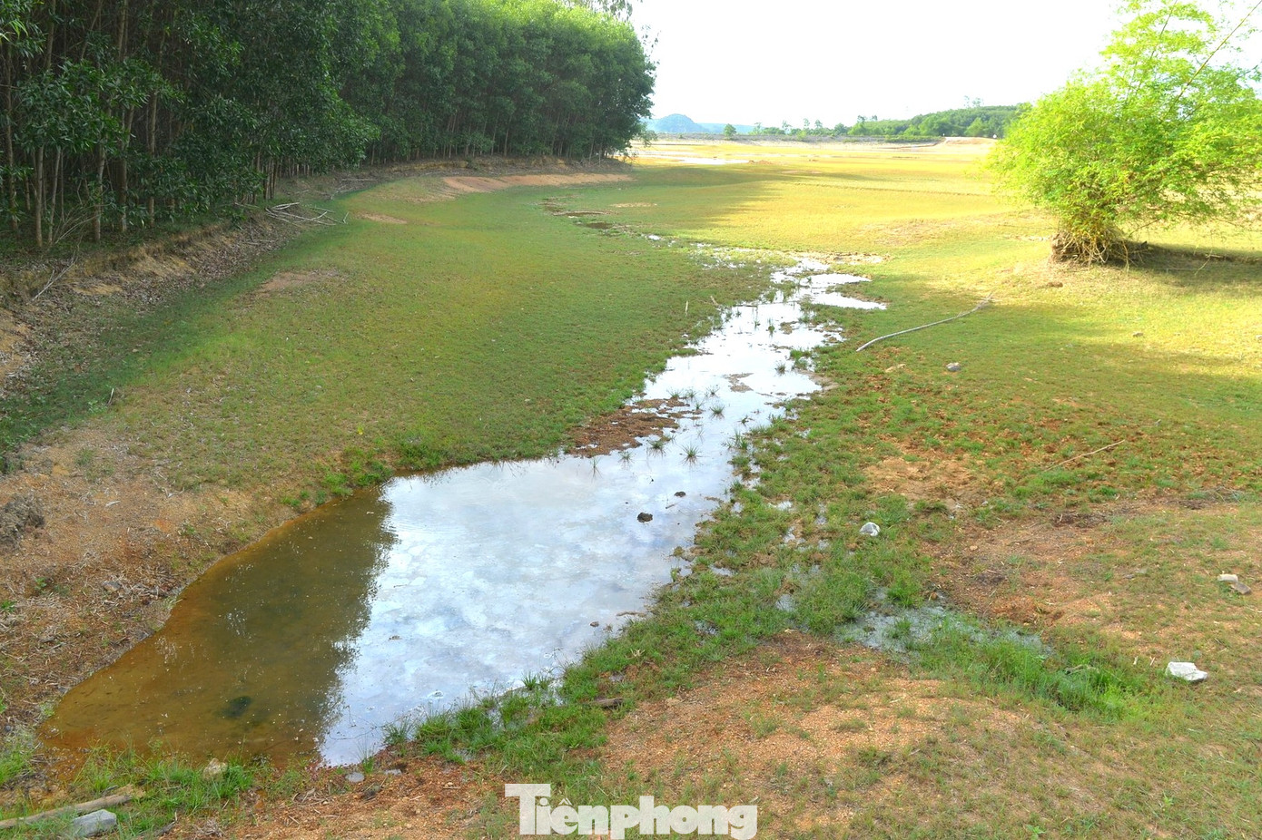 Báo cáo của Chi cục Thủy lợi Nghệ An, toàn tỉnh có 1.061 hồ chứa; trong đó, địa phương quản lý hơn 959 hồ. Hiện nay, do nắng nóng kéo dài nên có 168 hồ, đập có dung tích đạt dưới 30% thiết kế; trong đó, 19 hồ ở mực nước chết, dẫn đến tình trạng có nhiều diện tích lúa ở vùng hồ chứa khô cạn, tập trung ở các địa phương: Đô Lương, Nghĩa Đàn, Thanh Chương, Yên Thành...