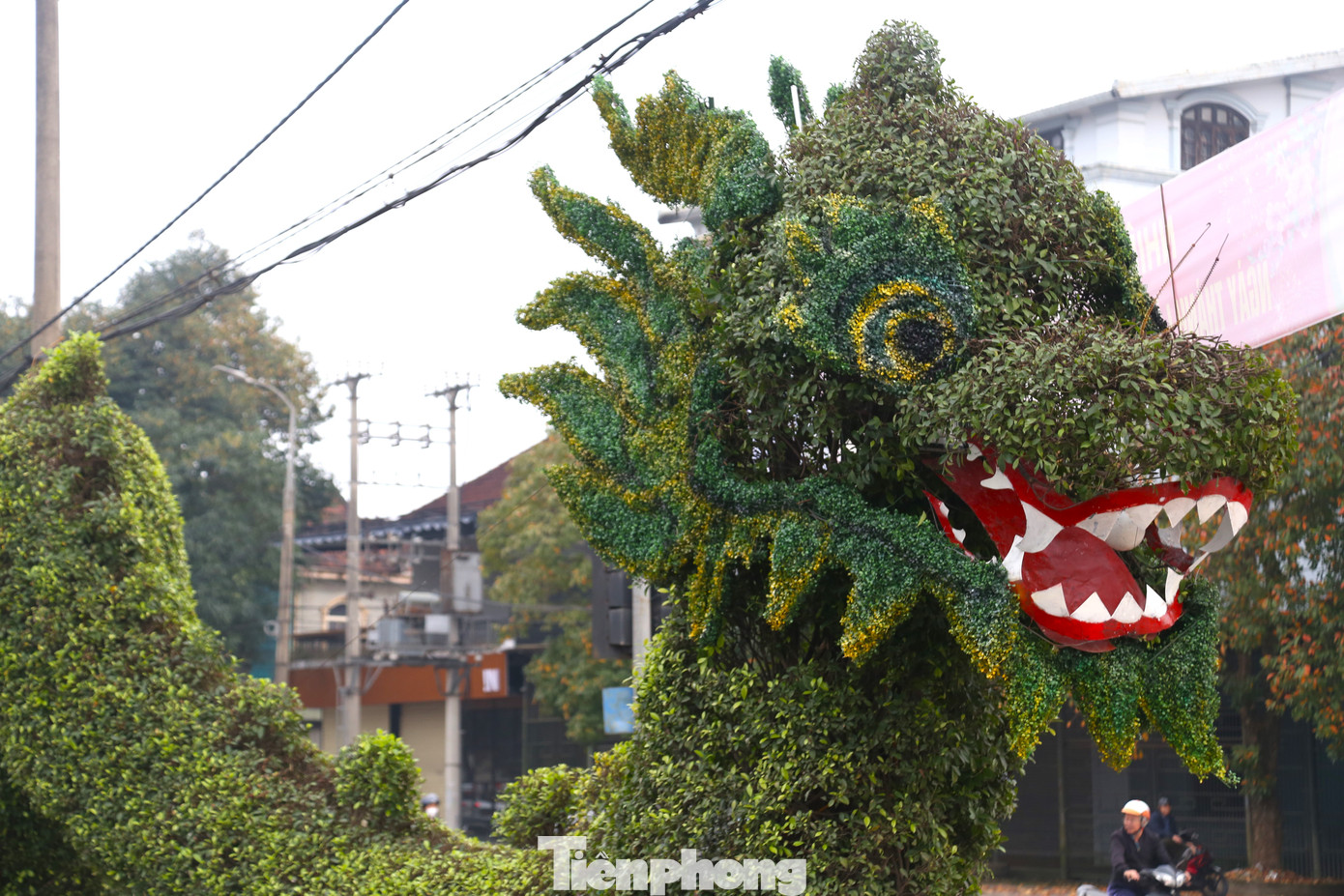 Phần “mang” rồng được chỉnh sửa lại bằng vật liệu nhựa màu xanh.