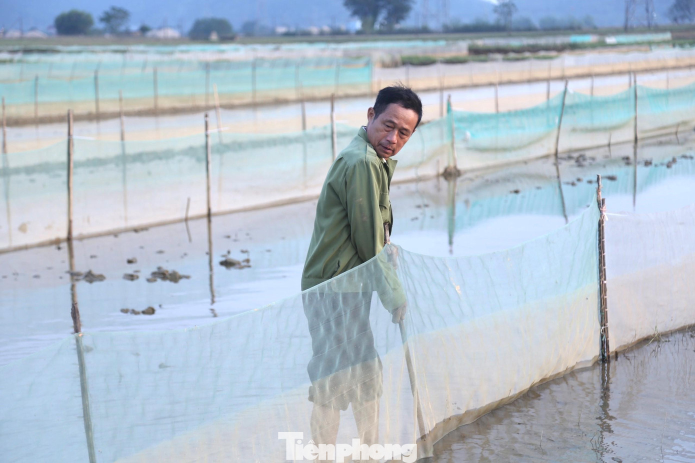 Không chỉ đóng cọc đứng, người dân còn dựng cọc nghiêng đề phòng gió thổi tạt đổ lưới khi nước triều dâng cao, hay có mưa to gió lớn. Không chỉ đóng cọc đứng, người dân còn dựng cọc nghiêng đề phòng gió thổi tạt đổ lưới khi nước triều dâng cao, hay có mưa to gió lớn.