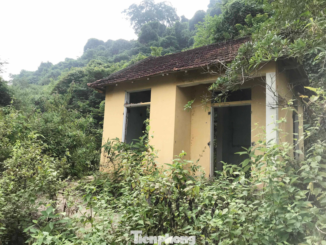 Ông Vi Thanh Tùng, Chủ tịch UBND xã Yên Na cho biết: “Địa phương cũng đã nhiều lần kiến nghị tình trạng trên, tuy nhiên đến giờ vẫn chưa có biện pháp hiệu quả, giải quyết dứt điểm. Chúng tôi mong muốn đưa người dân nơi đây ra khu vực thị tứ Bản Vẽ để bà con yên tâm sinh sống, an cư lạc nghiệp, tránh những rủi ro đáng tiếc xảy ra”. Ông Vi Thanh Tùng, Chủ tịch UBND xã Yên Na cho biết: “Địa phương cũng đã nhiều lần kiến nghị tình trạng trên, tuy nhiên đến giờ vẫn chưa có biện pháp hiệu quả, giải quyết dứt điểm. Chúng tôi mong muốn đưa người dân nơi đây ra khu vực thị tứ Bản Vẽ để bà con yên tâm sinh sống, an cư lạc nghiệp, tránh những rủi ro đáng tiếc xảy ra”.