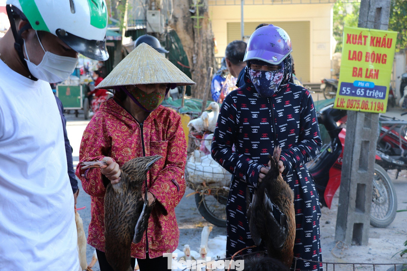 Ba ngày nay, anh Cao Văn Hiến (trú xã Nghi Kim, thành phố Vinh) tiêu thụ khoảng 500 con, còn 200 con dự kiến sẽ bán hết trong hôm nay. Khoảng hơn một giờ đồng hồ, người đàn ông này đã bán được 70 con với giá 130.000 đồng/con. Ba ngày nay, anh Cao Văn Hiến (trú xã Nghi Kim, thành phố Vinh) tiêu thụ khoảng 500 con, còn 200 con dự kiến sẽ bán hết trong hôm nay. Khoảng hơn một giờ đồng hồ, người đàn ông này đã bán được 70 con với giá 130.000 đồng/con.