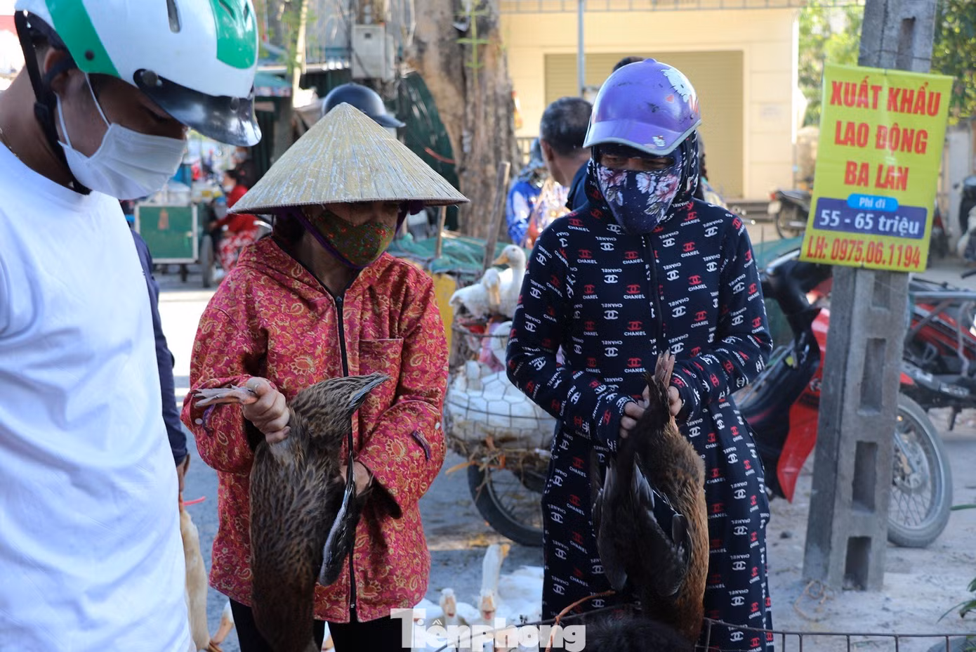 Ba ngày nay, anh Cao Văn Hiến (trú xã Nghi Kim, thành phố Vinh) tiêu thụ khoảng 500 con, còn 200 con dự kiến sẽ bán hết trong hôm nay. Khoảng hơn một giờ đồng hồ, người đàn ông này đã bán được 70 con với giá 130.000 đồng/con. Ba ngày nay, anh Cao Văn Hiến (trú xã Nghi Kim, thành phố Vinh) tiêu thụ khoảng 500 con, còn 200 con dự kiến sẽ bán hết trong hôm nay. Khoảng hơn một giờ đồng hồ, người đàn ông này đã bán được 70 con với giá 130.000 đồng/con.