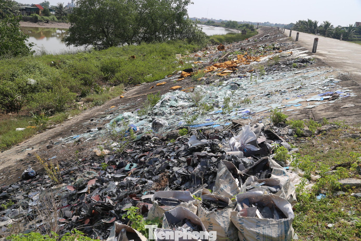 Cả một đoạn đê dài bị rác thải 'bủa vây'