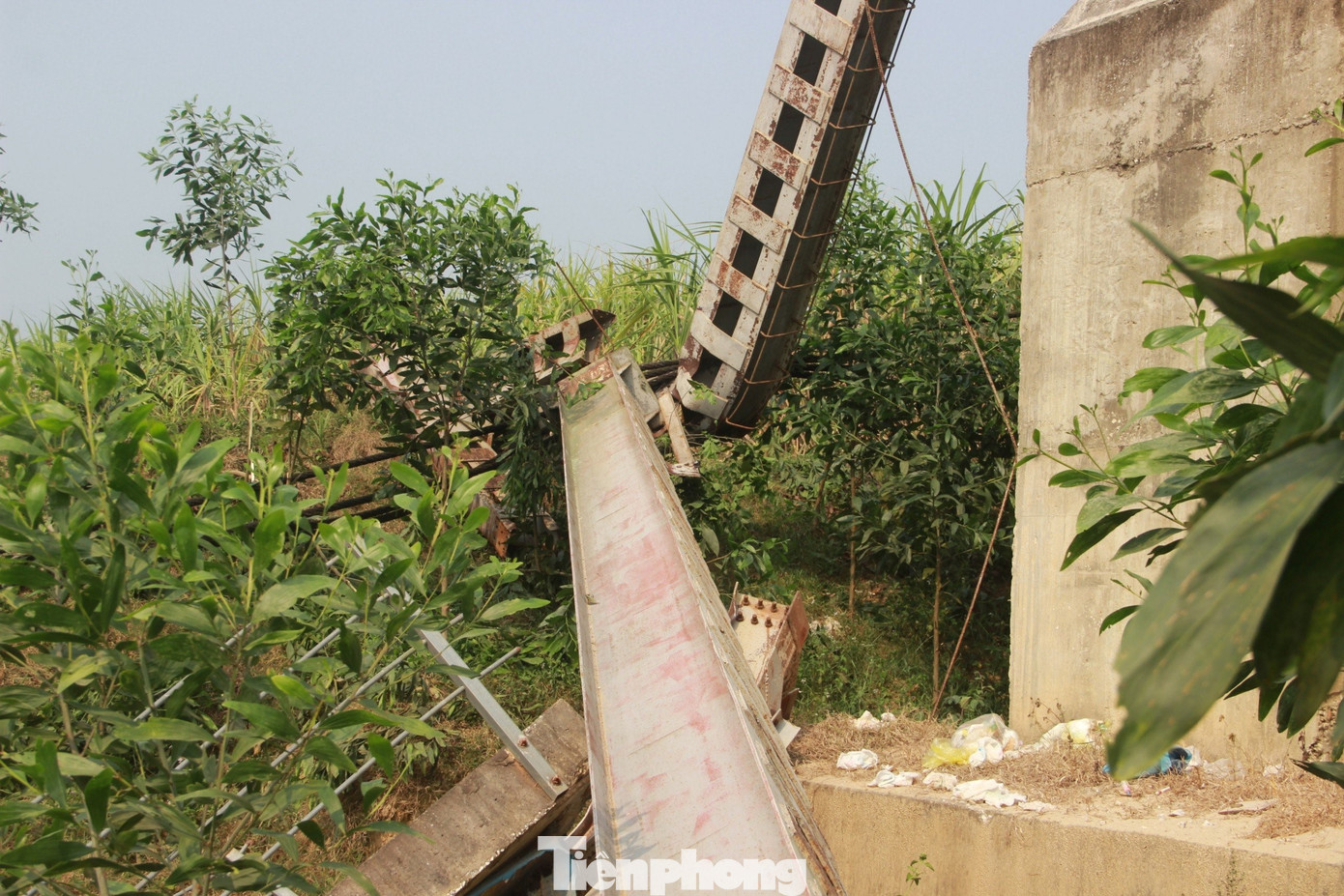 Bước đầu nhận định, nguyên nhân cầu treo Kẻ Nính sập do lún phần đất dưới thanh neo phía phải mố M2, tạo ra dịch chuyển thanh neo, kéo theo trụ cáp, gây đổ trụ, làm sập toàn bộ cầu.