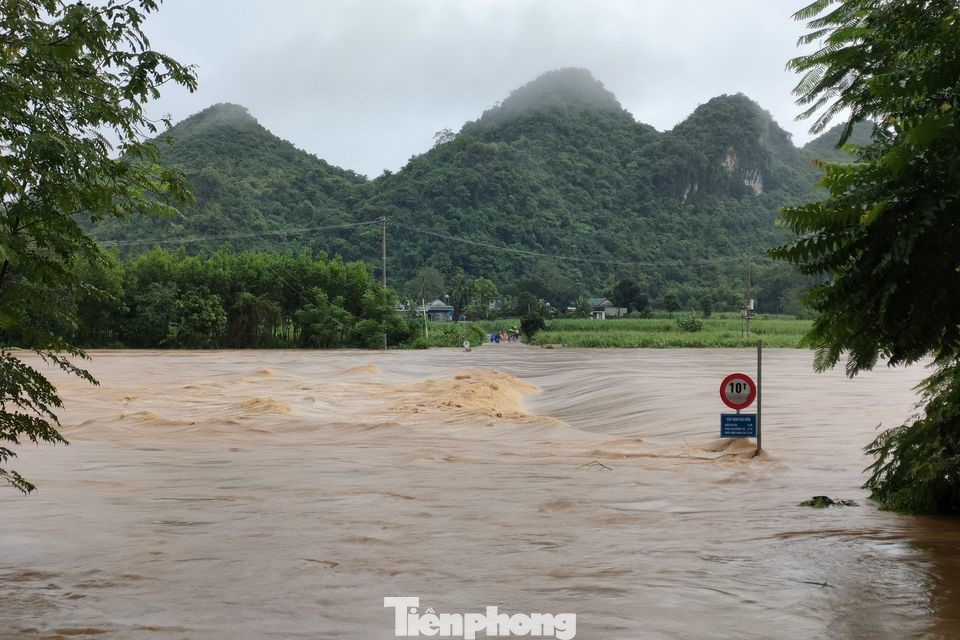 Báo cáo nhanh của Phòng nông nghiệp huyện Quỳ Hợp (Nghệ An), tính đến chiều 27/9, toàn huyện hiện có 685 hộ dân bị cô lập vì cầu tràn ở xóm Duộc, xã Liên Hợp bị ngập nước khiến 3 khu dân cư ở xóm Duộc và xóm Quắn bị chia cắt. Cầu tràn ở bản Hợp Tiến, xã Châu Tiến bị ngập nước dẫn đến bản Hợp Tiến bị chia cắt; cầu tạm phục vụ thi công bị sập nên các bản Thắm, bản Xiết, bản Bồn, xã Châu Lý bị chia cắt. Hơn 185 hộ dân bị ngập nước. Có hơn 120 ha rau, 250 ha mía bị ngập úng, 70 ha ao hồ bị nước tràn qua bờ,... Báo cáo nhanh của Phòng nông nghiệp huyện Quỳ Hợp (Nghệ An), tính đến chiều 27/9, toàn huyện hiện có 685 hộ dân bị cô lập vì cầu tràn ở xóm Duộc, xã Liên Hợp bị ngập nước khiến 3 khu dân cư ở xóm Duộc và xóm Quắn bị chia cắt. Cầu tràn ở bản Hợp Tiến, xã Châu Tiến bị ngập nước dẫn đến bản Hợp Tiến bị chia cắt; cầu tạm phục vụ thi công bị sập nên các bản Thắm, bản Xiết, bản Bồn, xã Châu Lý bị chia cắt. Hơn 185 hộ dân bị ngập nước. Có hơn 120 ha rau, 250 ha mía bị ngập úng, 70 ha ao hồ bị nước tràn qua bờ,...