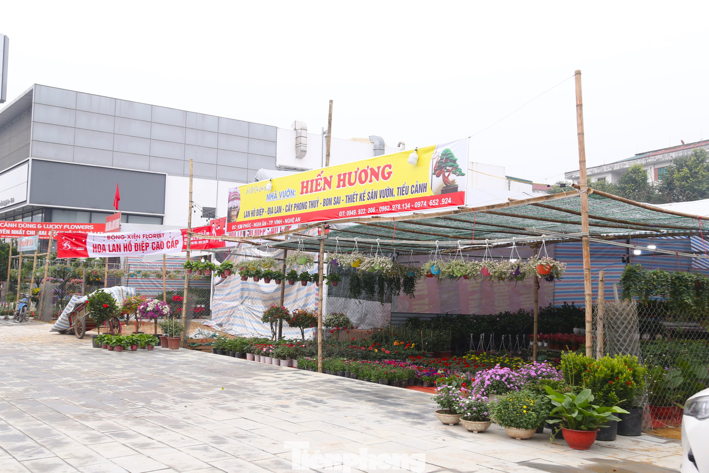 Năm nay, mặt bằng đẹp khan hiếm, giá cao vẫn khó thuê