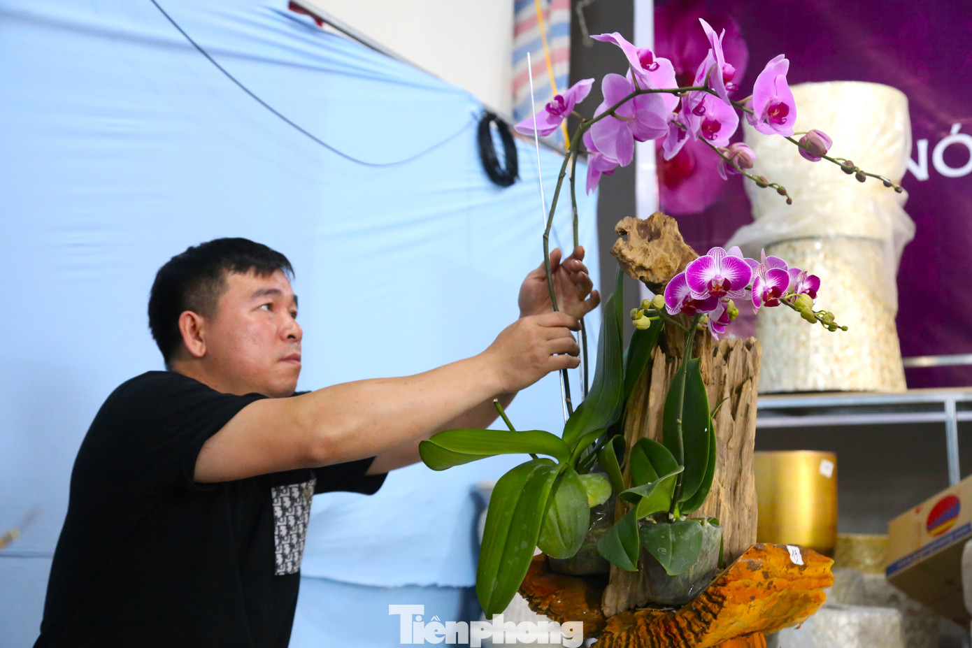 Anh Lê Văn Duy (40 tuổi, quê Thanh Hóa) cho biết tiền công kết lan trên gỗ lũa cao gấp 3 lần so với kết trên chậu, song mất thời gian hơn. “Nếu kết lan trên bình gốm sứ đòi hỏi sự mềm mại, uyển chuyển thì kết lan trên gỗ lũa lại đòi hỏi dáng lan phải mang khí chất núi rừng, vừa phải phù hợp với thế của từng khúc gỗ lũa. Để có tác phẩm đẹp, ngoài tay nghề, người thợ phải có sự sáng tạo, mang đậm dấu ấn cá nhân nhưng vẫn phải hài hòa với sở thích, thị hiếu của khách hàng”, anh Duy chia sẻ.