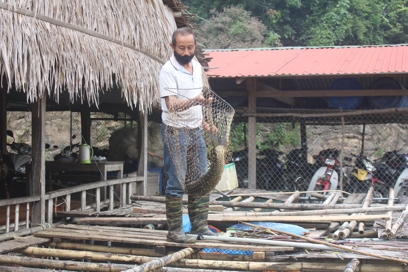 Ông Liên bên những lồng bè của gia đình