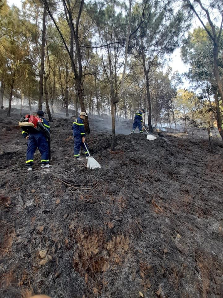 Sau gần 2 giờ tích cực dập lửa, đám cháy ở xã Diễn Lộc cơ bản được khống chế.