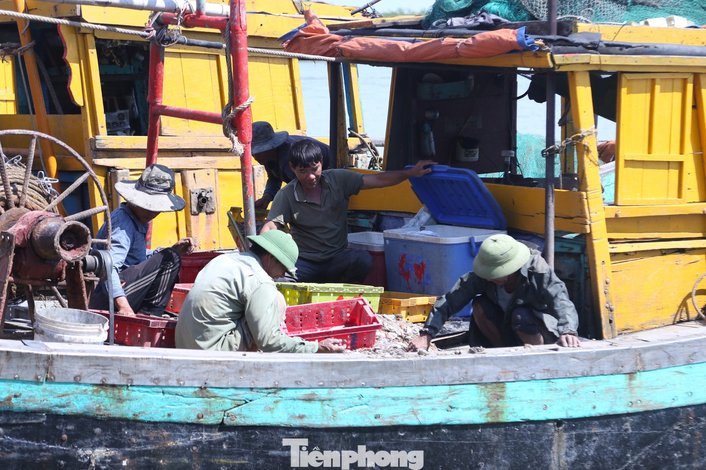 Theo các ngư dân, những ngày sau kỳ nghỉ Tết Nguyên đán, thời tiết thuận lợi sau thời gian biển động đã giúp họ có thu nhập lớn. Đây là tín hiệu vui đầu năm mới. Trong ảnh, ngư dân đang phân loại hải sản ngay trên tàu thuyền.