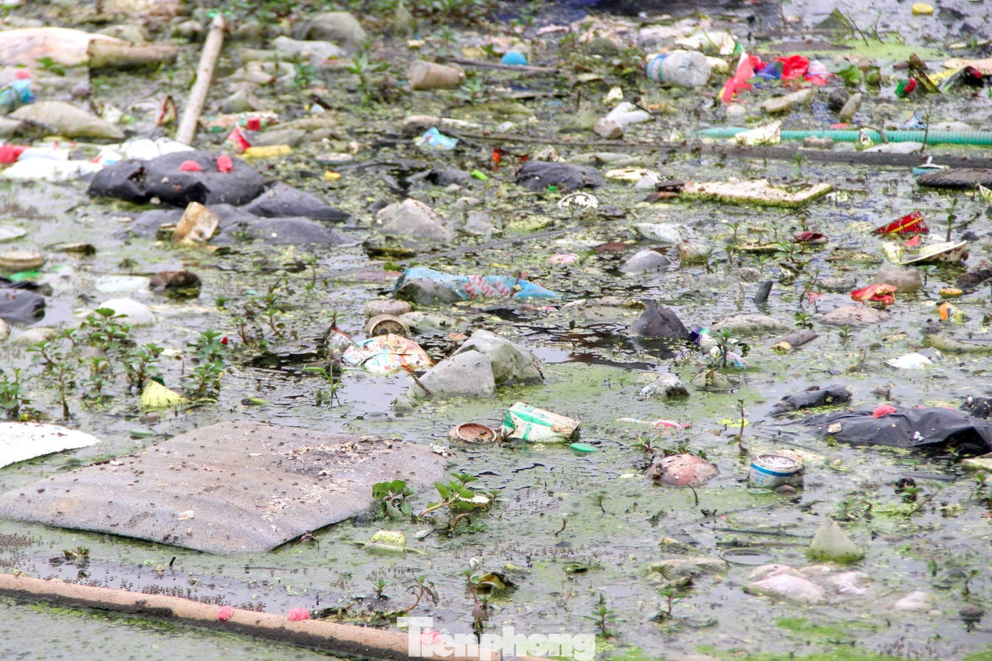 Hồ điều hòa Hưng Hòa là hồ chứa lớn nhất thành phố Vinh với diện tích mặt nước 40ha. Năm 2017, hồ điều hòa này được đưa vào sử dụng, là &quot;lá phổi xanh&quot; của thành phố. Tuy nhiên, thời gian qua, hồ điều hòa luôn trong tình trạng ô nhiễm. Điều này đã khiến các thành viên nhóm bạn trẻ &quot;Nghệ An xanh&quot; rất trăn trở và lên kế hoạch để làm sạch lòng hồ. Trong ảnh: Dòng nước đen kịt, bốc mùi hôi thối, ngập ngụa rác thải như: vỏ chai, hộp giấy, túi nilon,… bám đầy rêu xanh do bị ngâm lâu ngày. Ảnh: TH