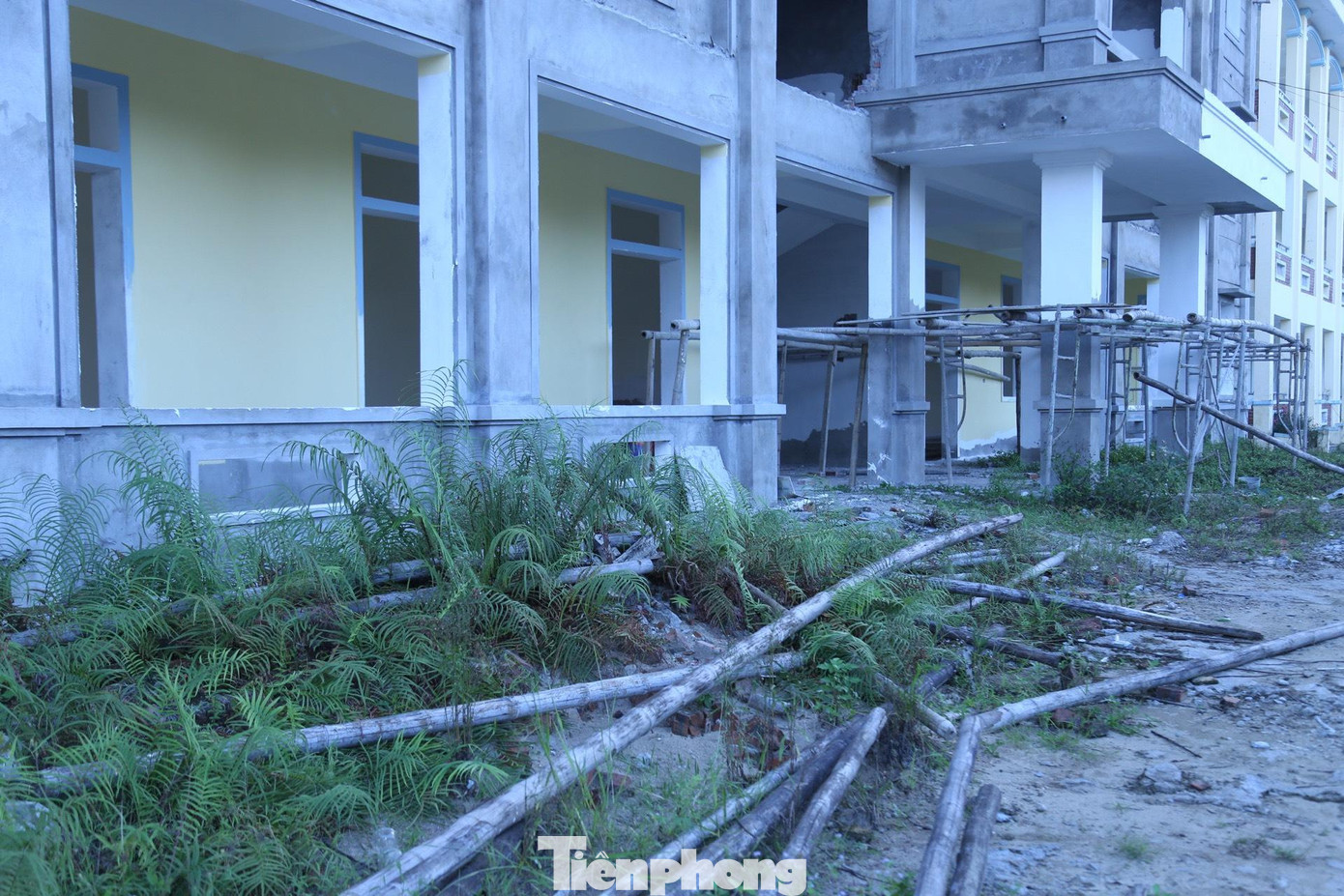 Cỏ dại mọc um tùm trước công trình đang xây dở