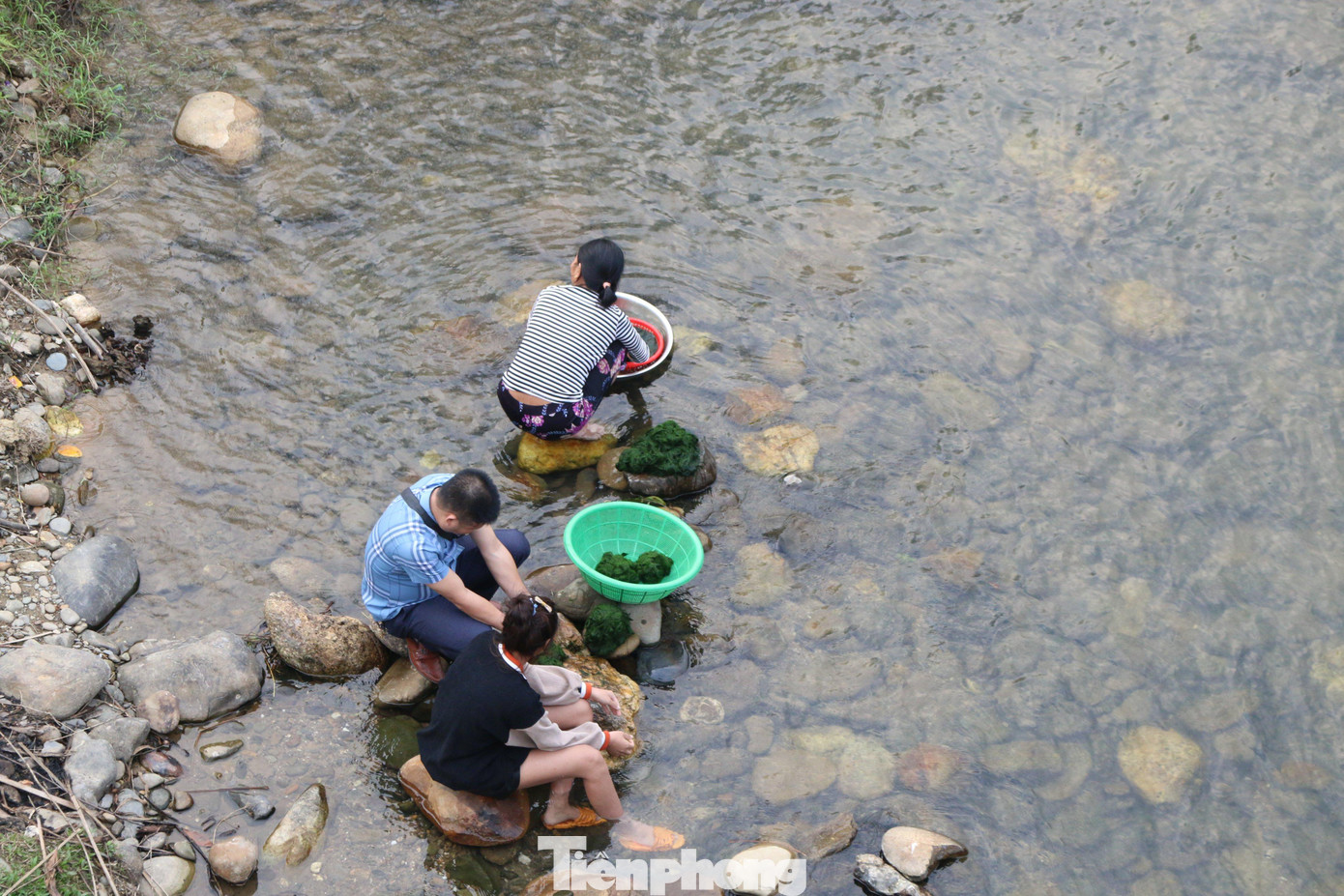 Từ nhiều đời nay, rêu đá ở dưới đáy các sông, suối trên thượng nguồn sông Lam được người dân miền núi Nghệ An xem như một loại thực phẩm phục vụ đời sống hằng ngày. Đặc biệt, đối với đồng bào người Thái, rêu đá còn được dùng để chế biến ra nhiều món ăn truyền thống, ngon và đặc sắc trong dịp lễ, Tết.