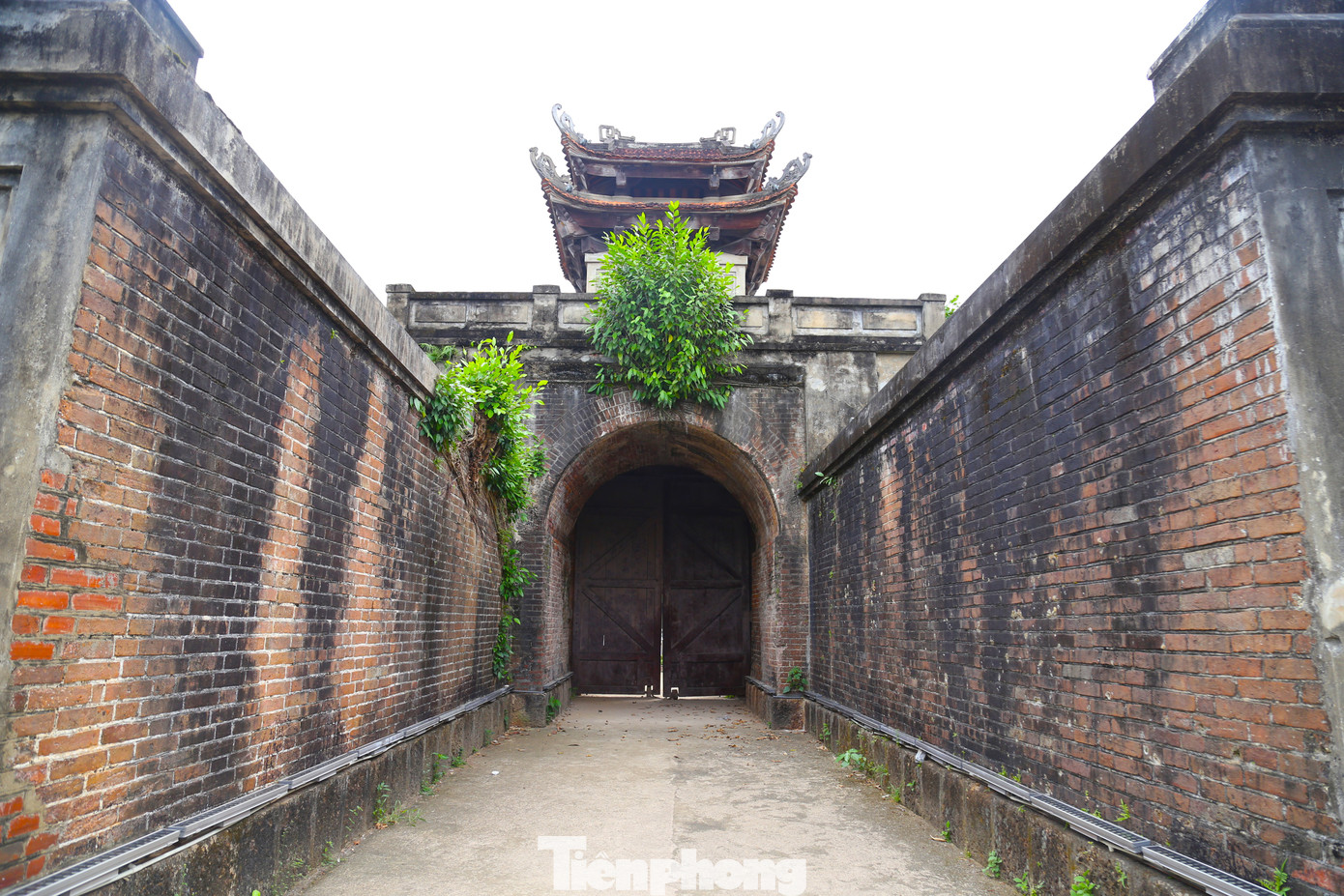 Năm 1998, thành cổ Vinh được Bộ Văn hóa - Thông tin xếp hạng là di tích quốc gia.