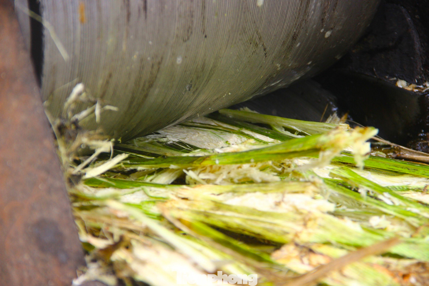 Sau khi ép, bã mía được vắt sạch nước. Phần nước mía được lọc qua dụng cụ bằng vải màn để lấy hết phần cặn bã, còn phần bã được phơi khô để làm chất đốt.