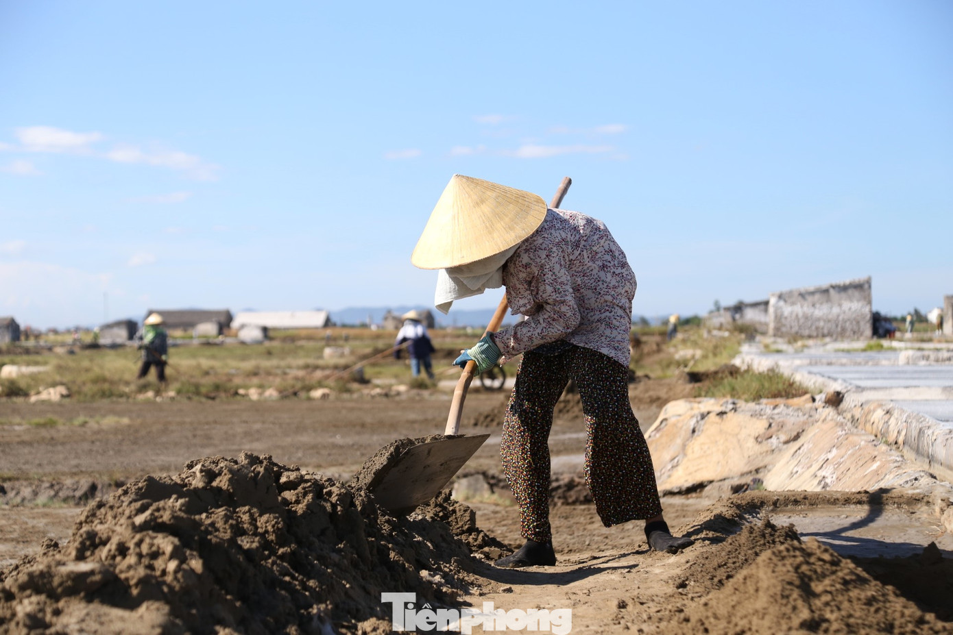 Bà Trần Thị Hòa (SN 1954) có 4 người con nhưng không ai theo nghề làm muối. Dù lưng đã còng, bà vẫn lặng lẽ ra đồng mỗi ngày, phơi mình dưới cái nắng chang chang. Nghề muối vất vả, cực nhọc, giá muối lại quá thấp nên những người như bà, không có việc gì làm mới bám trụ.