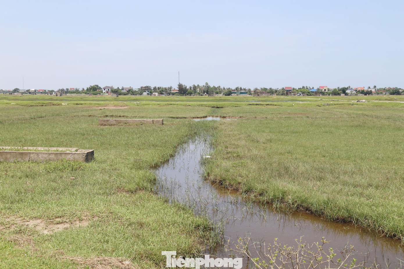 Ông Nguyễn Văn Tình (trú xóm Đông Kỷ, xã Diễn Kỷ) cho biết: “Cả nhà tôi ngày xưa sống bằng nghề muối, nhưng lâu rồi không sản xuất nữa. Nguồn nước làm muối bị ô nhiễm và ngọt hóa. Muối sản xuất không hiệu quả, sản lượng không cao, giá muối rẻ. Một số lao động sản xuất muối chuyển sang ngành nghề khác cho thu nhập cao hơn nên cánh đồng muối bị bỏ hoang đã nhiều năm nay”.