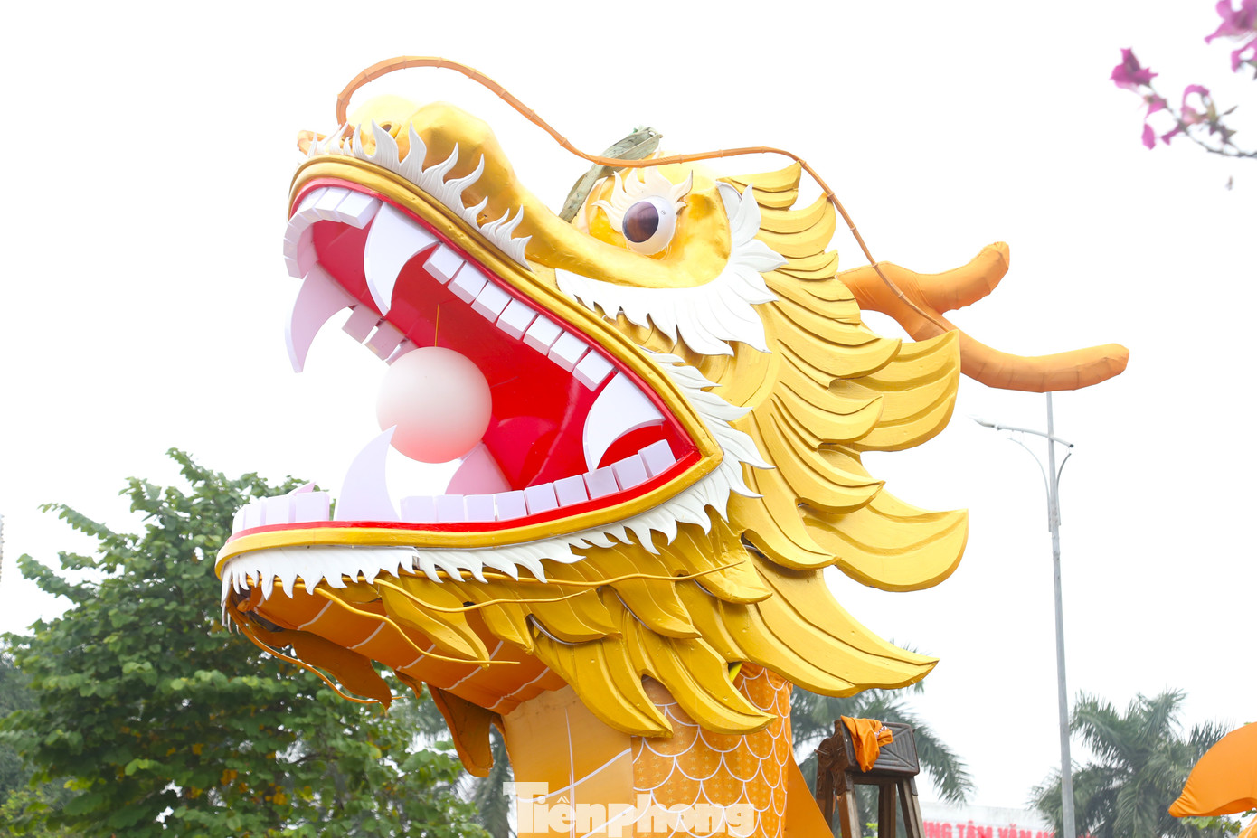 Toàn bộ thân rồng được lắp đèn trang trí, phát sáng trong đêm, miệng rồng ngậm viên ngọc sáng.