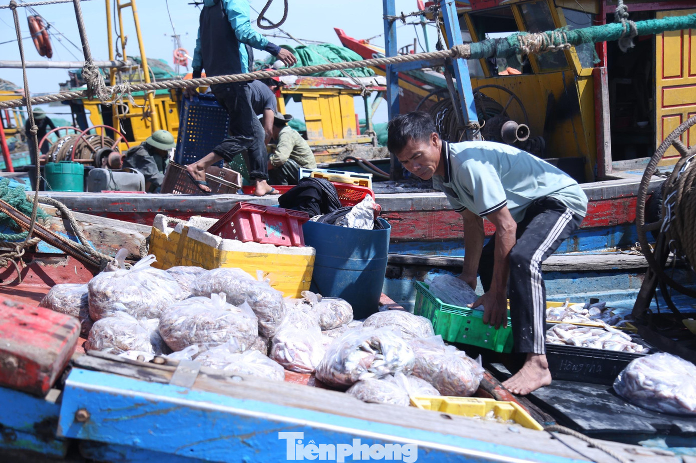 Những khoang thuyền đầy ắp tôm, cá.