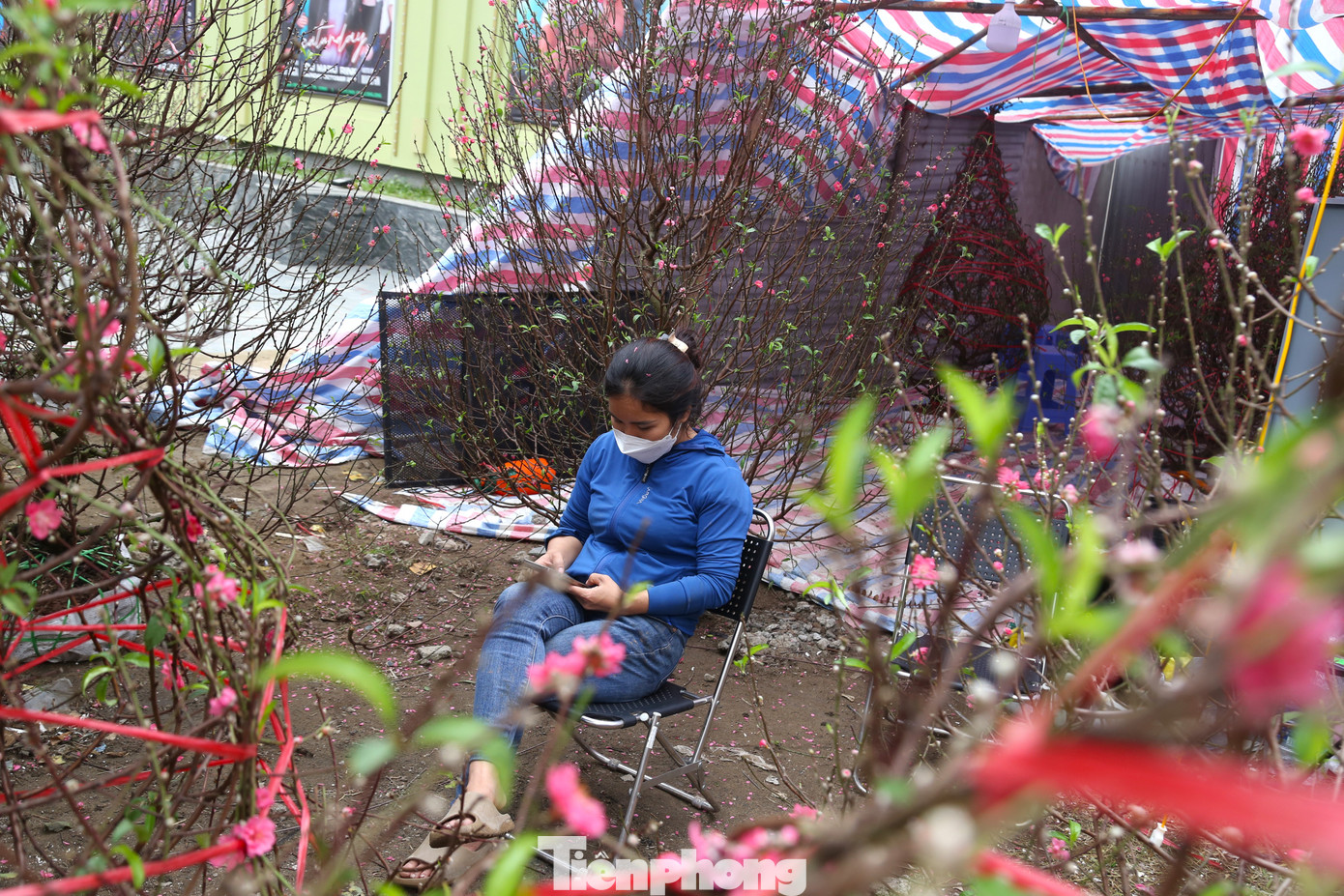 Tình trạng người bán nhiều hơn người mua diễn ra khá phổ biến. Trong ảnh, người buôn đào, quất, mai,... ngồi đợi khách sáng 29 Tết.