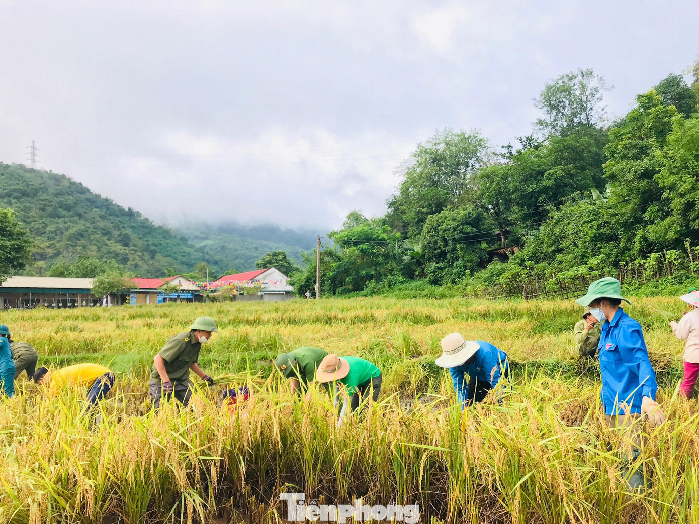 Ông Lộc Văn Mạo, có con trai là Lộc Văn Xáy đang tham gia nghĩa vụ quân sự tại đồn biên phòng Tri Lễ được đoàn viên thanh niên hỗ trợ gặt lúa, ông xúc động: “Mưa làm ngập hết cả cánh đồng lúa. May có các cháu đoàn viên thanh niên cùng các ban ngành đoàn thể xã giúp tôi gặt lúa. Tôi rất cảm ơn”.