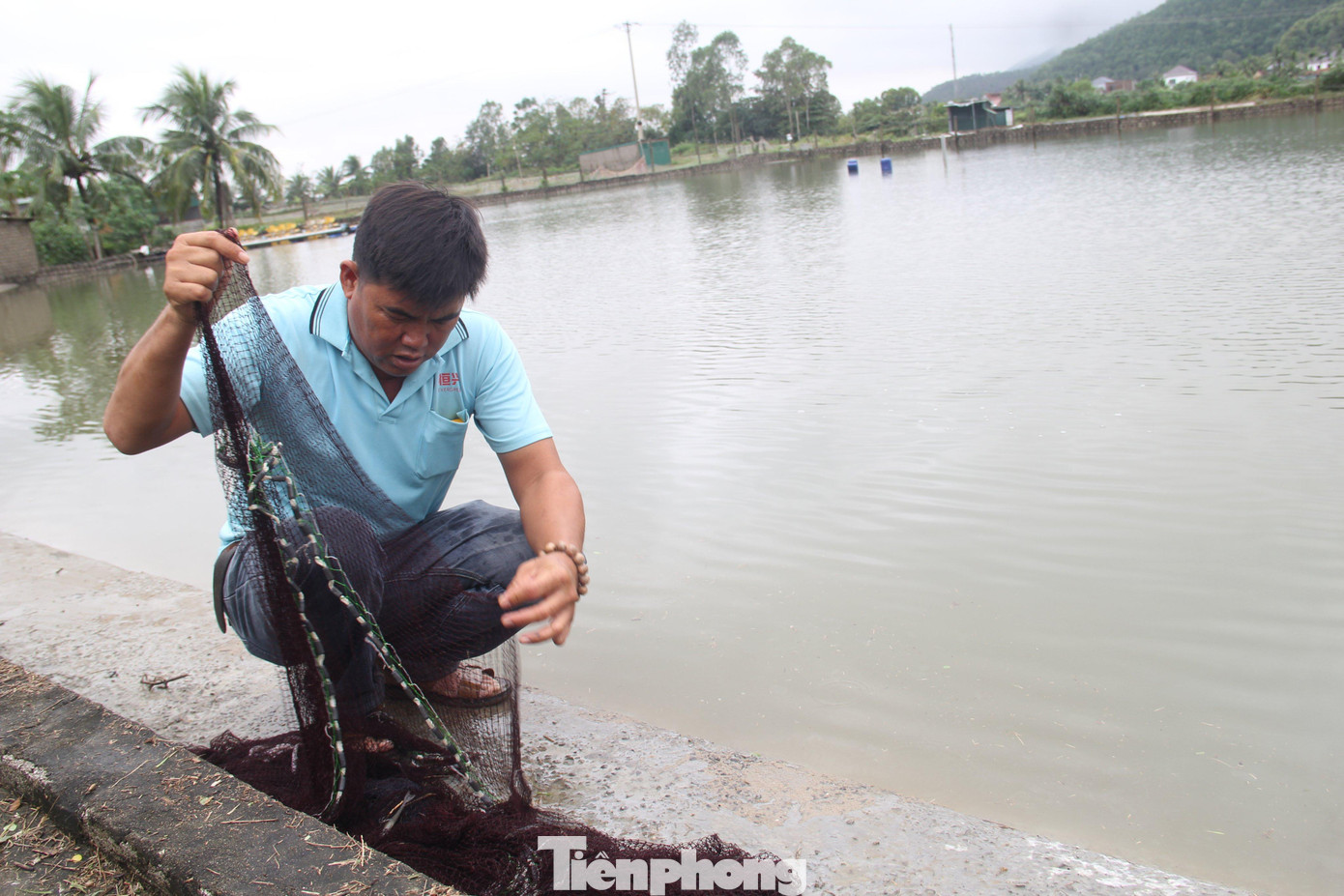 Anh Hợp quăng chài để kiểm tra, nhưng số tôm còn lại trong hồ rất ít. Anh Hợp quăng chài để kiểm tra, nhưng số tôm còn lại trong hồ rất ít.