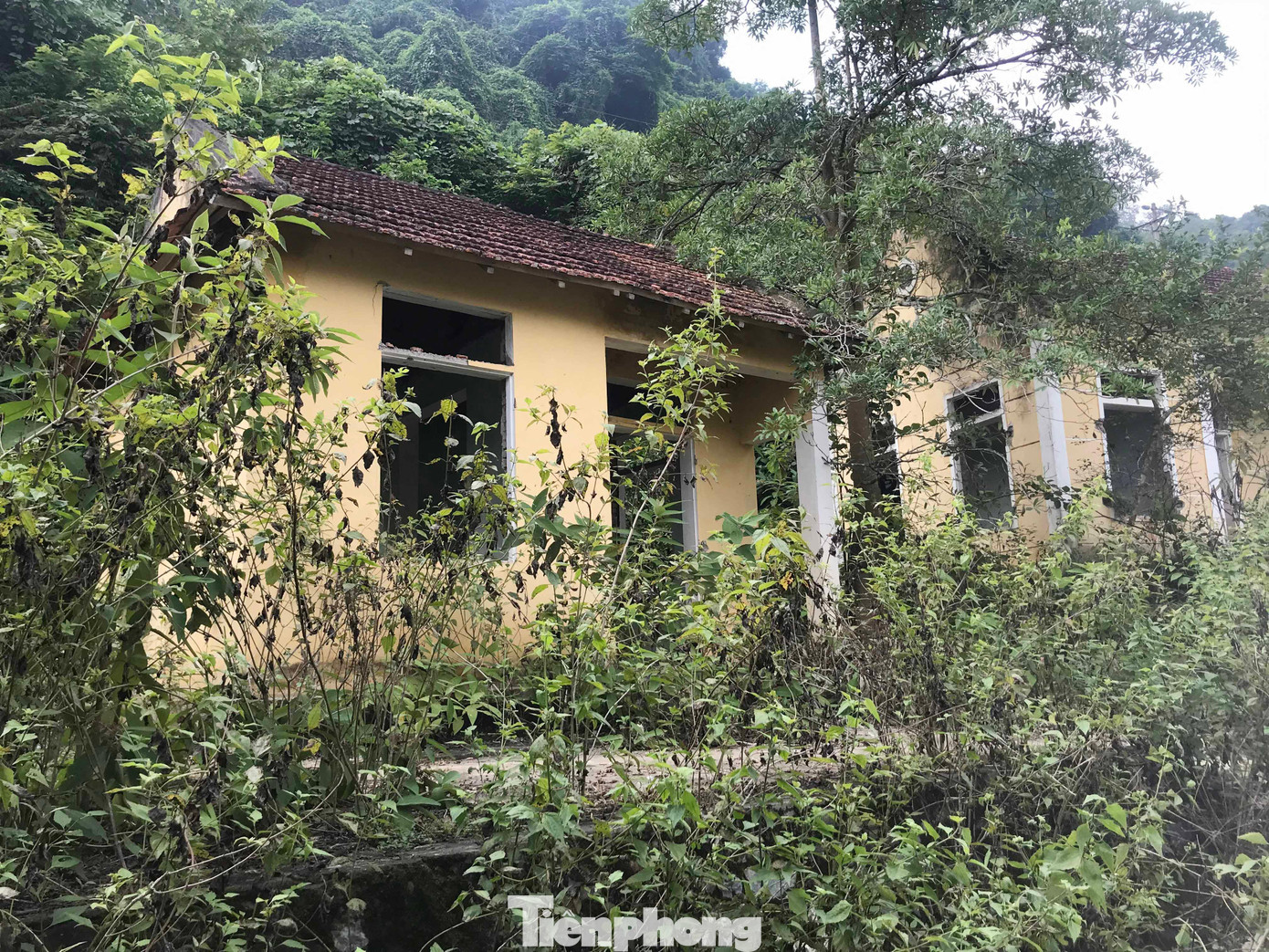 Cũng tại xã Yên Na, hàng chục hộ dân bản Khe Chóng sau khi nhường đất cho dự án thủy điện Bản Vẽ cũng đang sống trong cảnh nơm nớp lo sợ. Đã nhiều lần những tảng đá lớn từ ngọn núi dựng đứng phía sau bản lăn xuống nhà dân. Cũng tại xã Yên Na, hàng chục hộ dân bản Khe Chóng sau khi nhường đất cho dự án thủy điện Bản Vẽ cũng đang sống trong cảnh nơm nớp lo sợ. Đã nhiều lần những tảng đá lớn từ ngọn núi dựng đứng phía sau bản lăn xuống nhà dân.