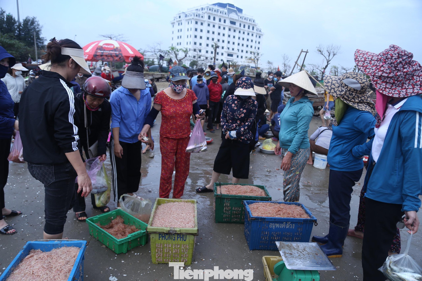 Ngư dân Nguyễn Văn Sơn (SN 1975, trú phường Thu Thủy) cho hay, trước đây, đi biển dễ kiếm tiền, biển nhiều cá, tôm. Giờ hải sản khan hiếm hơn, phải dong thuyền ra xa.