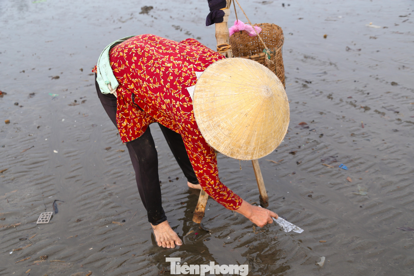 .Công việc cào ngao giúp những phụ nữ ở ven biển Nghệ An có thêm thu nhập vài trăm nghìn đồng mỗi ngày.