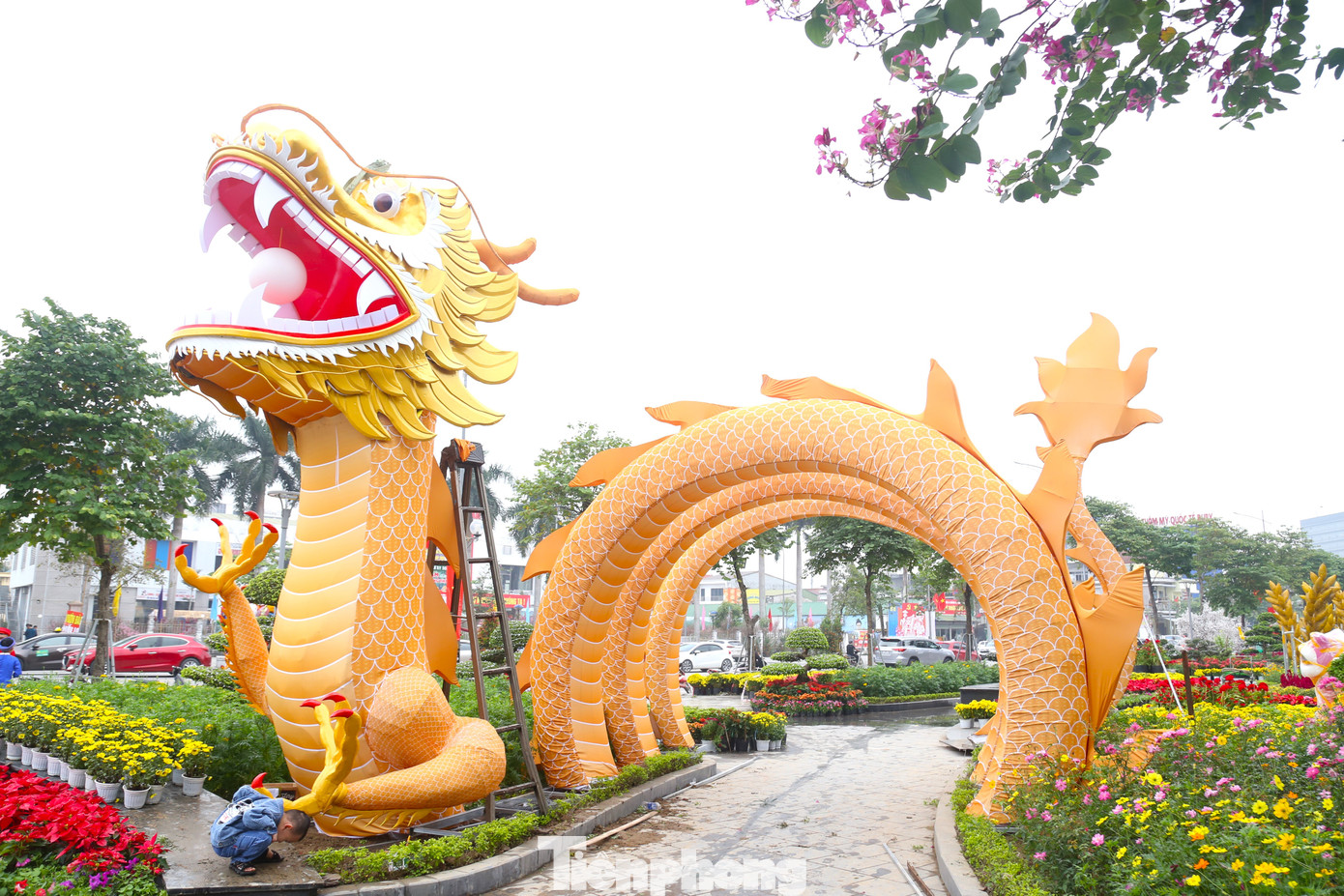 Linh vật rồng này lấy ý tưởng từ hình ảnh rồng ngậm ngọc cuộn tròn, ẩn mình trong mây.