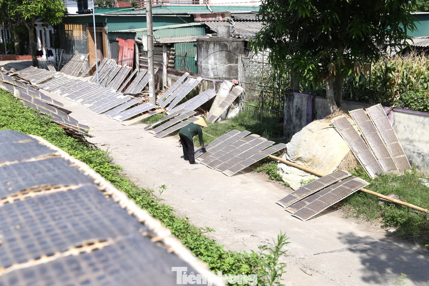 Sản phẩm bánh đa được làm từ gạo ngon, vừng đen, tráng bằng máy, có hình vuông và được phơi trên những tấm phên tre truyền thống. Trung bình mỗi cân gạo, người dân tráng được 20 - 25 chiếc bánh, tùy vào độ dày, mỏng, lớn, bé của bánh. Các hộ làm nghề bánh đa ở đây đều thuê thêm nhân công phụ giúp trong việc tráng, phơi, thu cất bánh. Tiền công mỗi ngày làm việc khoảng 200.000 đồng/người.