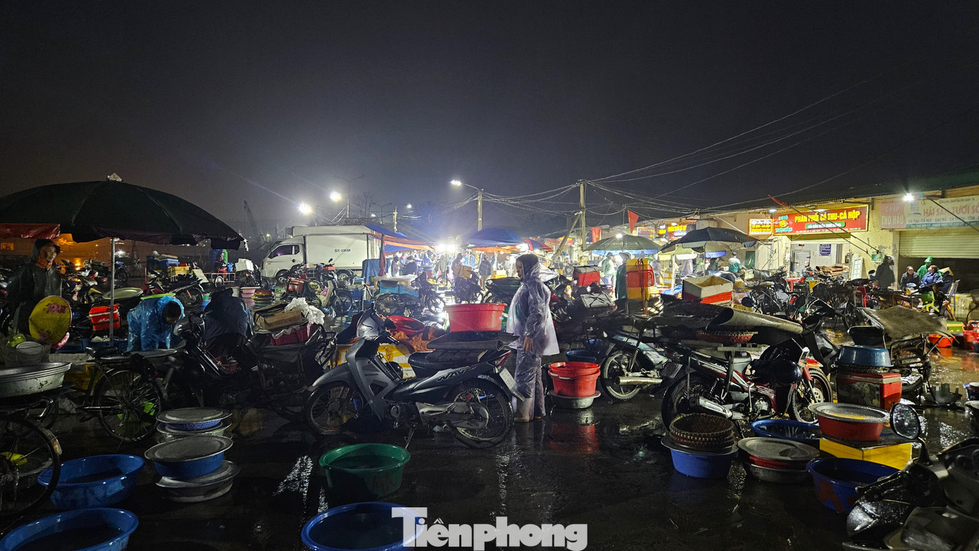 Chợ bến cá Nghi Thủy nằm ở vị trí cuối nguồn sông Cấm thuộc phường Nghi Thủy (TP Vinh, Nghệ An), có từ lâu đời, là khu chợ hải sản sầm uất, lớn nhất trong vùng. Ghi nhận 4 giờ sáng, lúc còn chưa rõ mặt người, chợ bến cá đã kín người. Những tiếng í ới gọi nhau râm ran. Tiểu thương khắp nơi về đây mua hải sản từ các thuyền bè để mang ra các chợ huyện trong tỉnh bán kiếm lời.