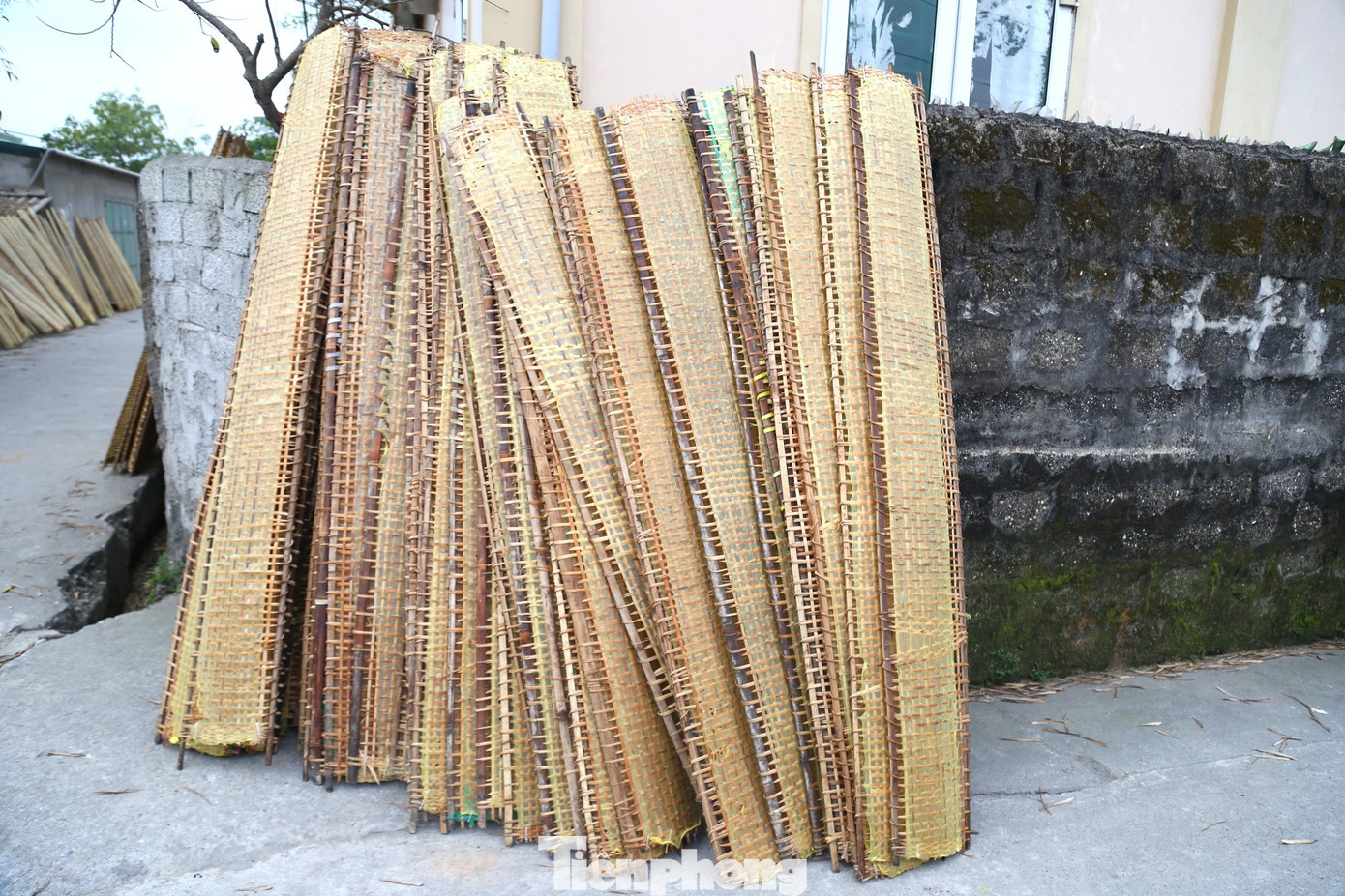 Những tấm phên tráng bánh được gom lại thành một nơi để đưa về nhà cắt.