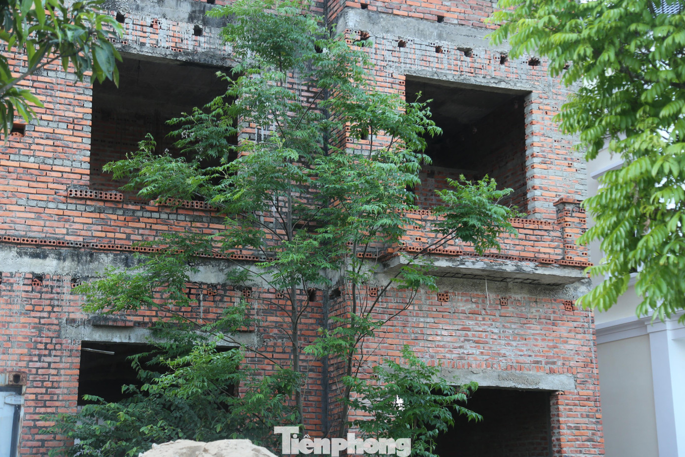 Tháng 8/2005, Bộ Kế hoạch và Đầu tư đã có quyết định số 757/QĐ-BKH chấm dứt hoạt động của dự án, sau đó, UBND tỉnh Nghệ An thu hồi giấy chứng nhận quyền sử dụng đất. Để cứu vớt dự án, tháng 10/2014, UBND tỉnh Nghệ An đã có quyết định chấp thuận chủ trương đầu tư dự án này cho CTCP Đầu tư thương mại Bảo Khánh Hamico (Bảo Khánh Hamico) làm chủ đầu tư với tổng vốn đầu tư hơn 1.050 tỷ đồng.