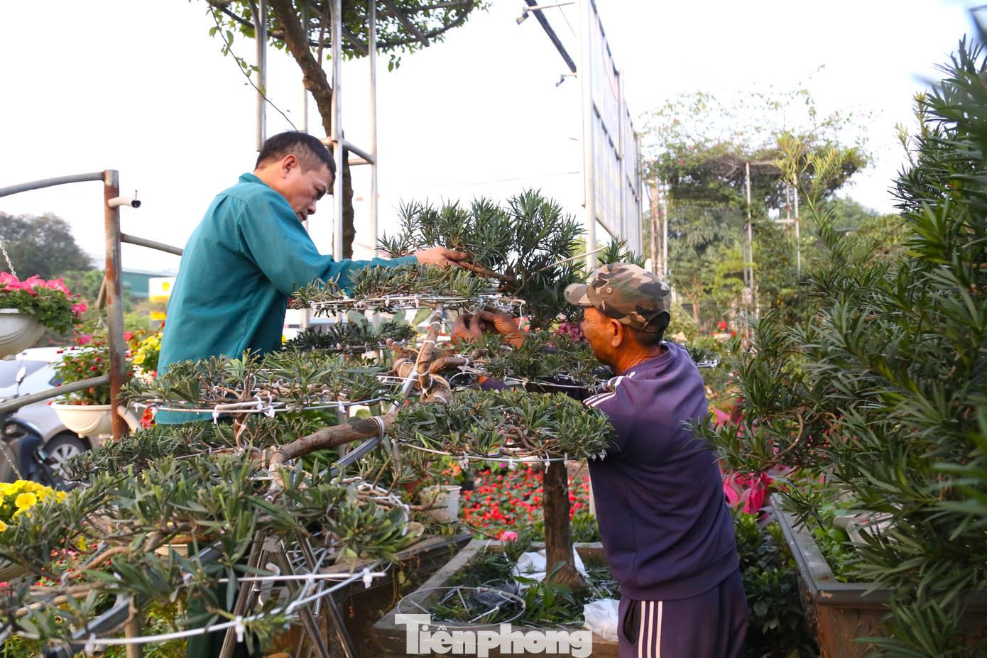 Dịp Tết, nhu cầu chỉnh trang, làm đẹp khuôn viên, sân vườn, cây cảnh tăng cao. Tại các nhà vườn, những người thợ luôn tay, luôn chân, làm không hết việc. Với công việc đòi hỏi tay nghề cao, sự sáng tạo, khéo léo, người thợ được trả tiền triệu mỗi ngày.