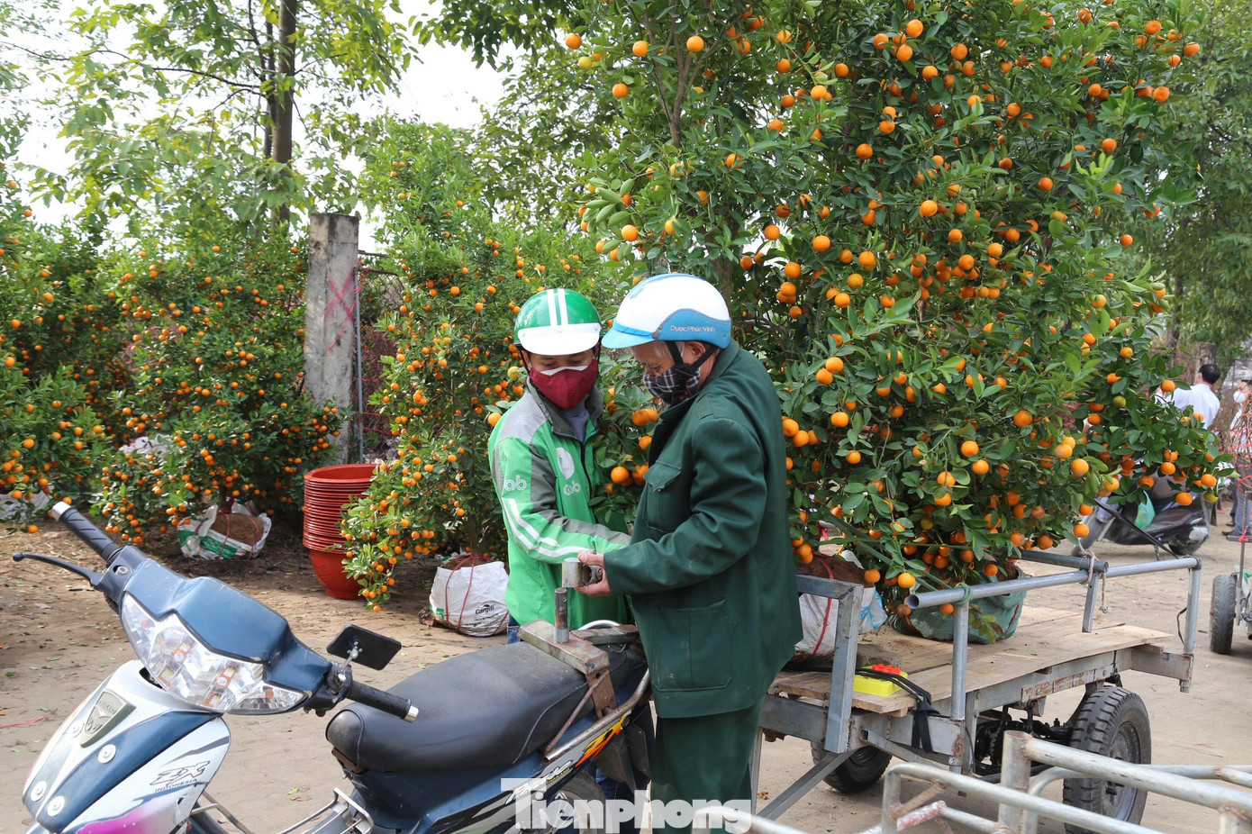 Ông Nguyễn Văn Sơn (56 tuổi, trú phường Trường Thi, TP Vinh) cho biết, thường ngày làm nghề xe ôm, tuy nhiên, những ngày cận Tết, thấy nhu cầu của người dân chở thuê đào quất tăng cao, ông quyết định chạy xe ra khu vực chợ hoa Tết để làm dịch vụ. Một ngày của ông Sơn bắt đầu từ 6 giờ sáng đến 22 giờ đêm. Công việc khá nặng nhọc vì phải bốc dỡ cây liên tục.